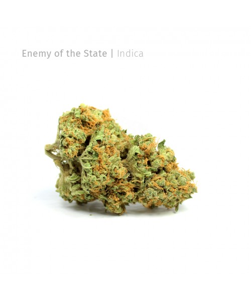 Enemy of the State | Indica